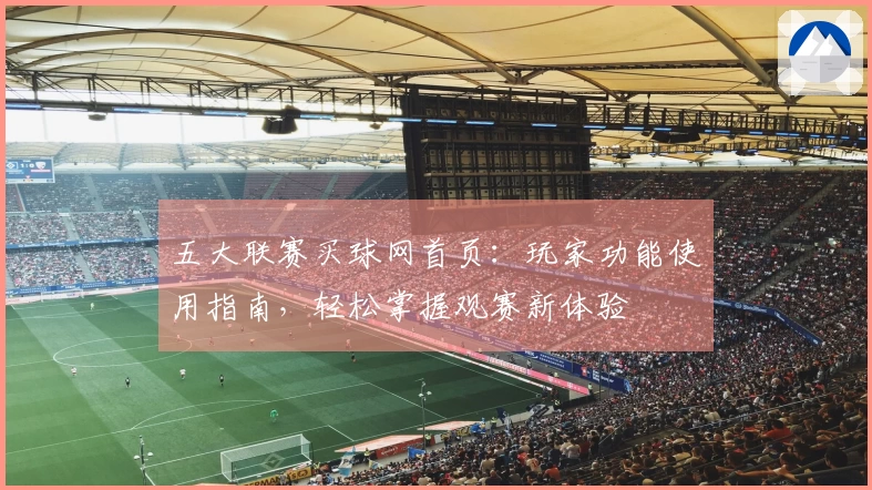 五大联赛买球网首页：玩家功能使用指南，轻松掌握观赛新体验
