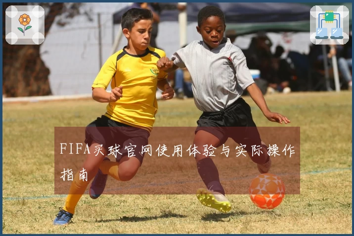 FIFA买球官网使用体验与实际操作指南