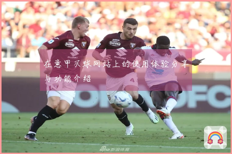 在意甲买球网站上的使用体验分享与功能介绍